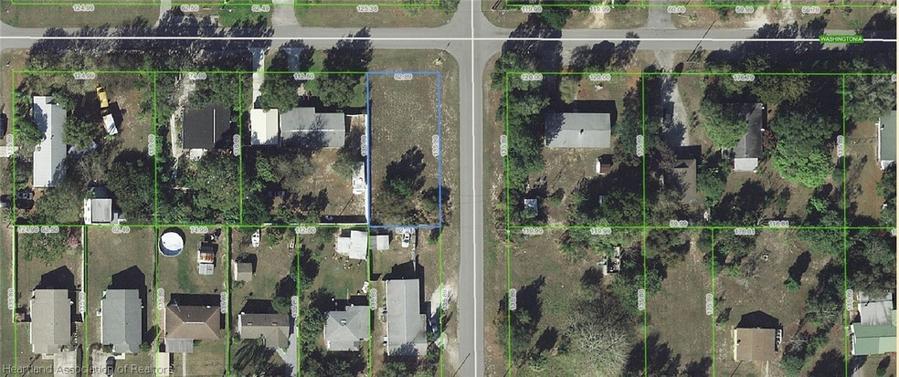 226 E Washingtonia St, Lake Placid, FL 33852 - photo 1