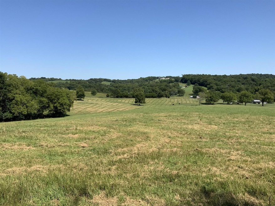 950 New Hope Rd, Shelbyville, TN 37160 - photo 1