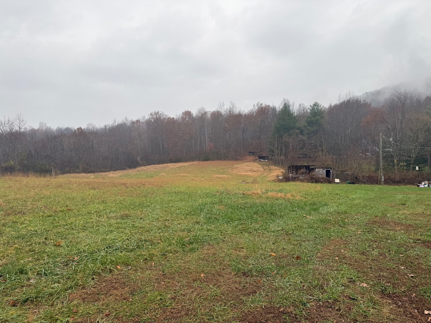 1032 Furnace Mountain Rd, Monticello, KY 42633 - photo 1