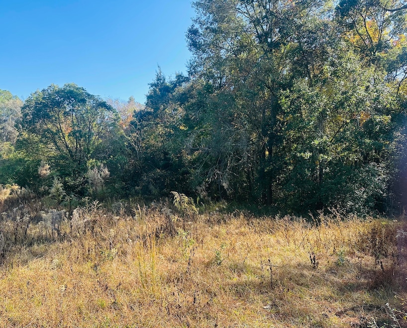 Absolutely beautiful!