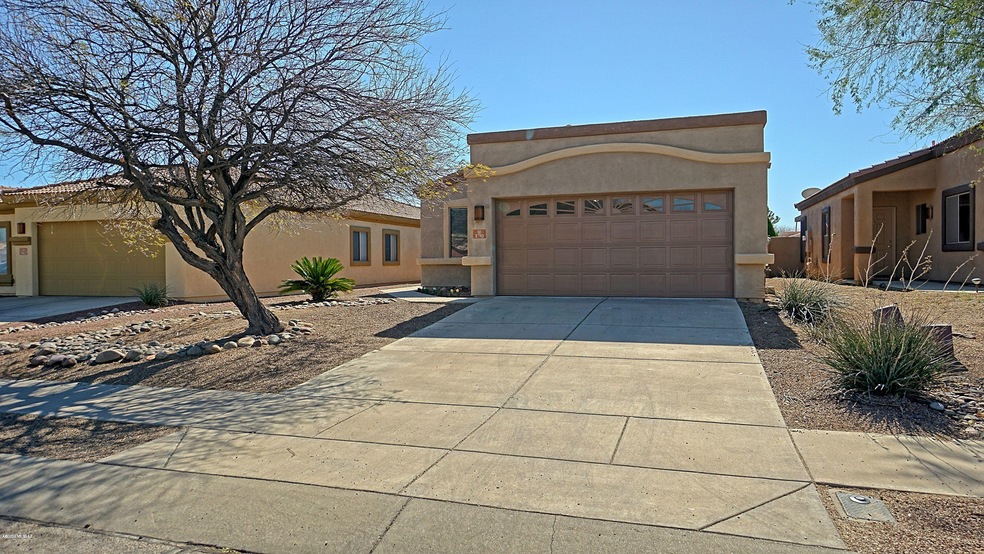 Frontyard 1