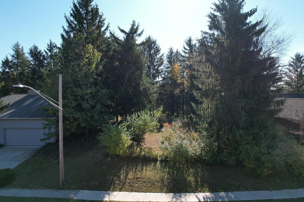 DJI_0670