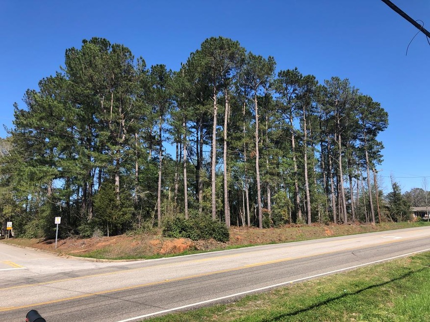 4460 Flowers Chapel Rd, Dothan, AL 36305 - photo 1