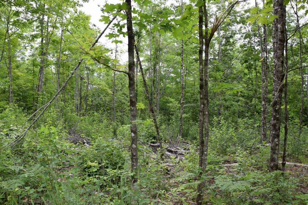 DSC_0012