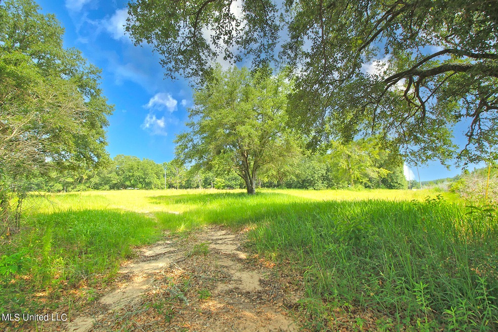 155 Glen Vincent Rd, Lucedale, MS 39452 - photo 1