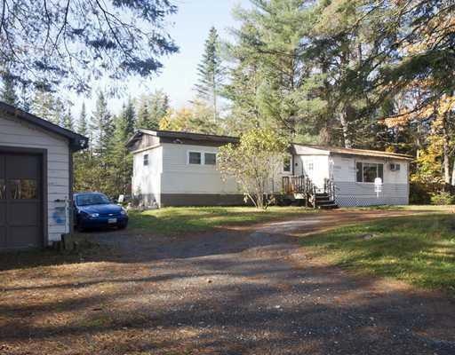 Exterior Front. Tall pine trees...