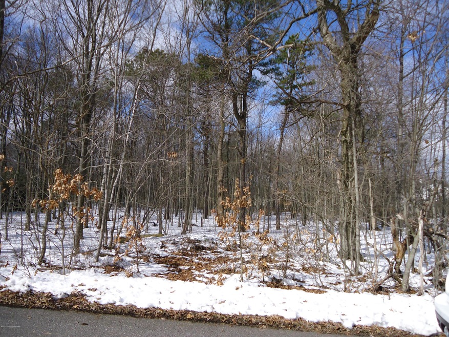 lot 303 Wild Creek Dr, Penn Forest Township, PA 18229 - photo 1