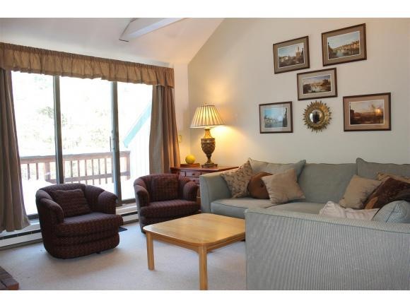 Bright living room,wooded view