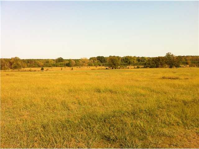 Beautiful open pasture land!  225 acres in woods. 