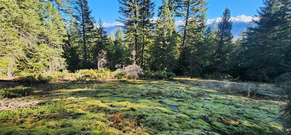30225 Chintzy Ln, Bigfork, MT 59911 - photo 1