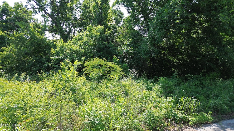 Lot 2 N Willow Rd, Joplin, MO 64801 - photo 1