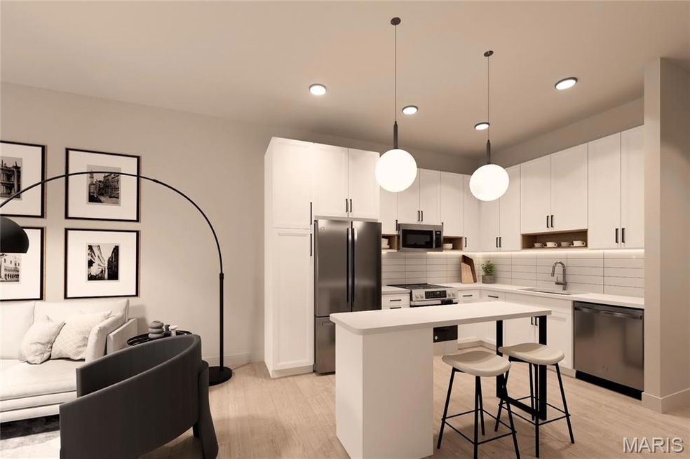 1121 S Main St unit 209, Saint Charles, MO 63301 - photo 1