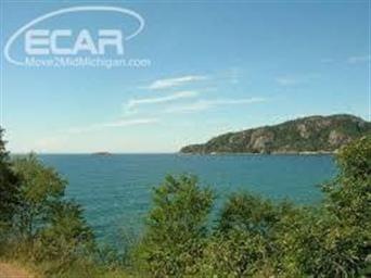 0 E Michigan (Parcel 2) Ave unit 30069303, Au Gres, MI 48703 - photo 1