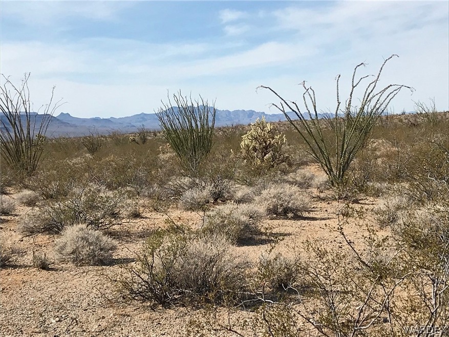 3016C S Allison Rd, Yucca, AZ 86438 - photo 1