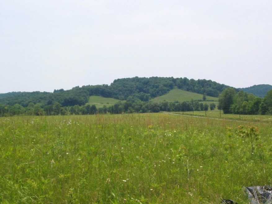 Photo1