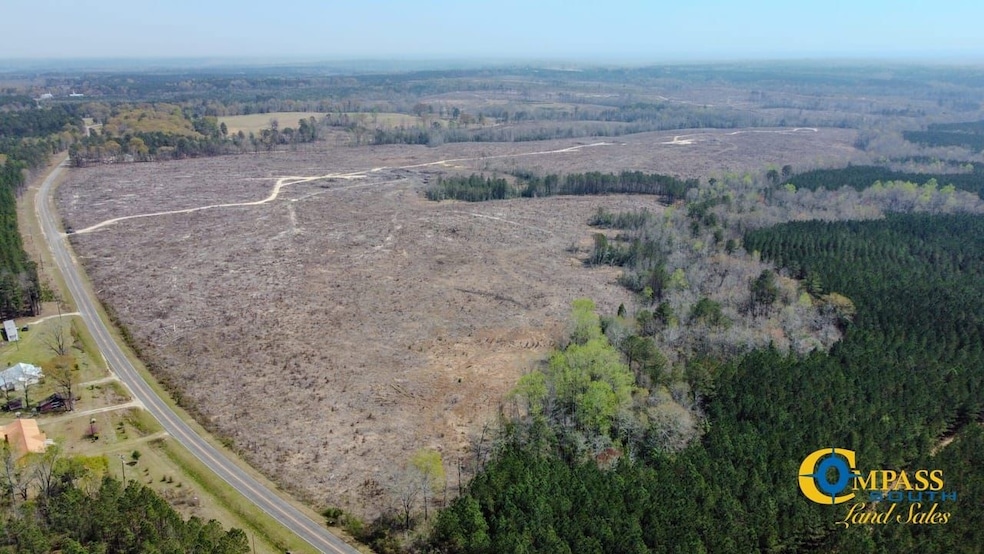 0 Prosser Rd unit 25510401, Deepstep, GA 31082 - photo 1