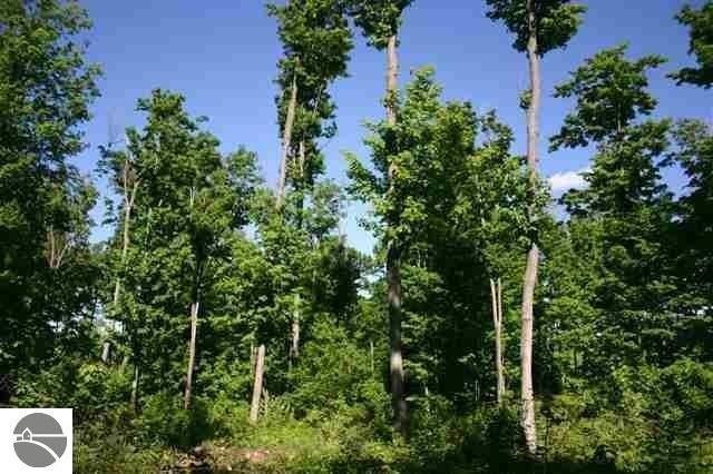 8226 E Boca Vista Trail unit 19, Traverse City, MI 49684 - photo 1