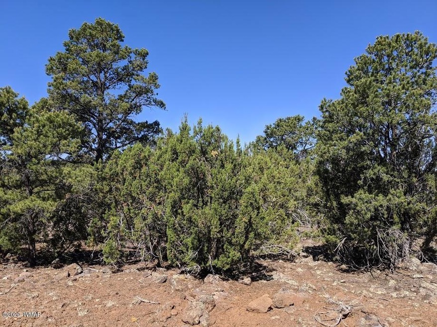 trees