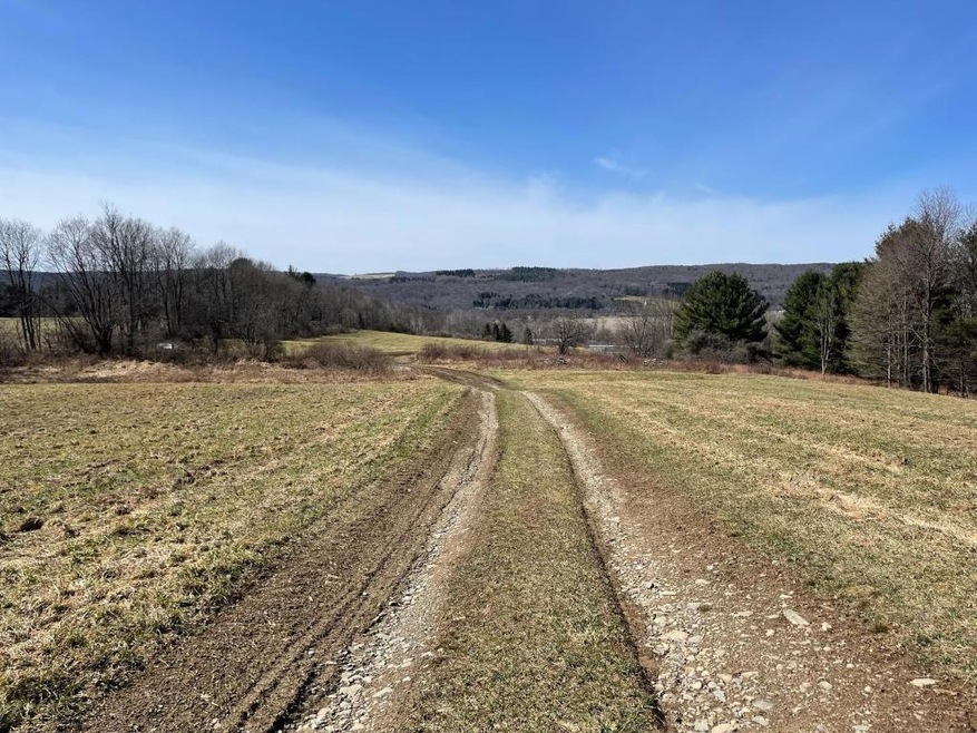 Looking toward Lower Cincinnatus Rd. from near the