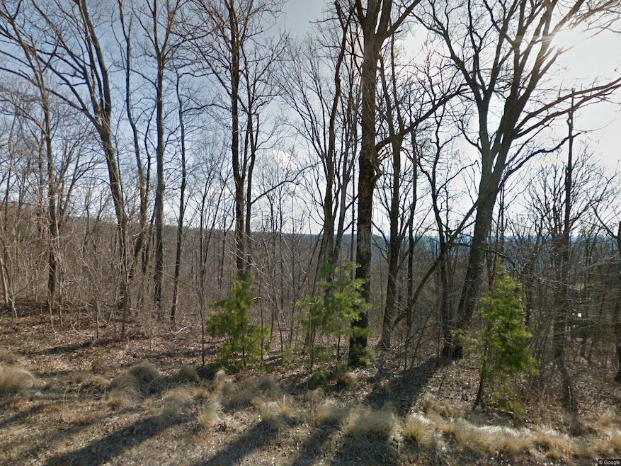 821 Raven Rd, Landrum, SC 29356 - photo 1