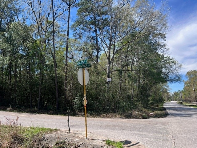 TBD Woodlane A Block 2 Lot 10, Splendora, TX 77372 - photo 1