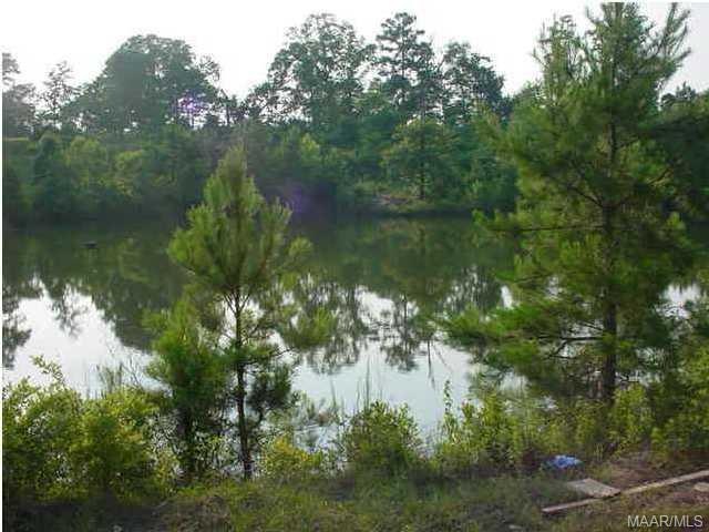 Water View
