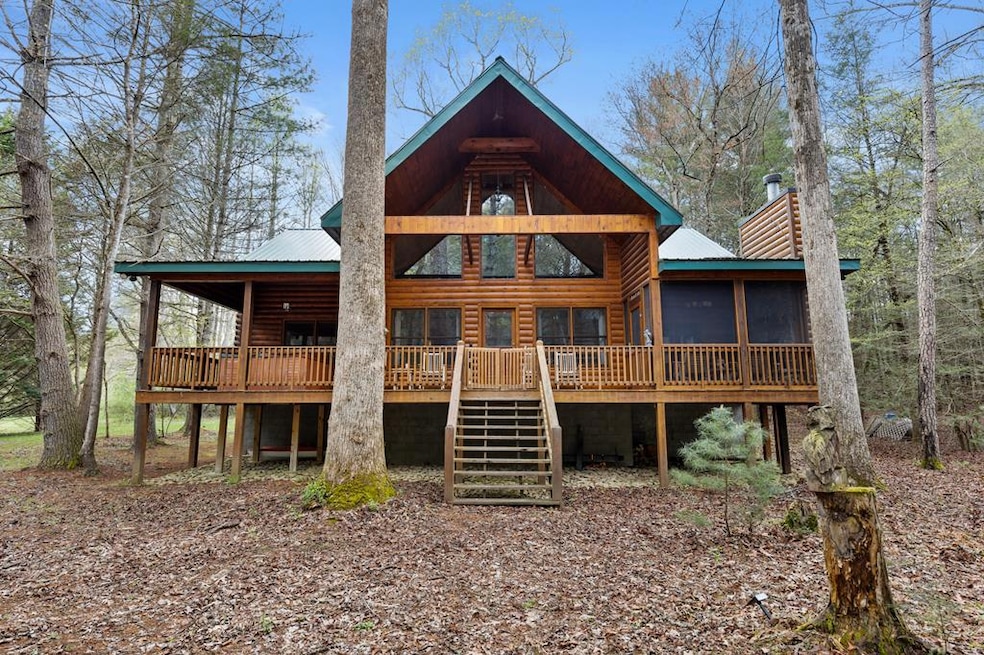 Main View