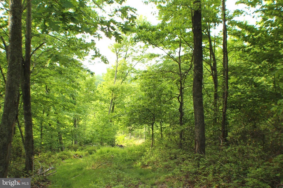 38.71ac Lower Timber Ridge Rd, Seneca Rocks, WV 26884 - photo 1