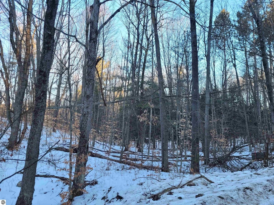 Lot 70 Fence Row Cir, Leroy, MI 49655 - photo 1