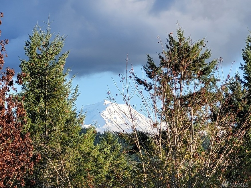 22222 133rd St E, Sumner, WA 98391 - photo 1