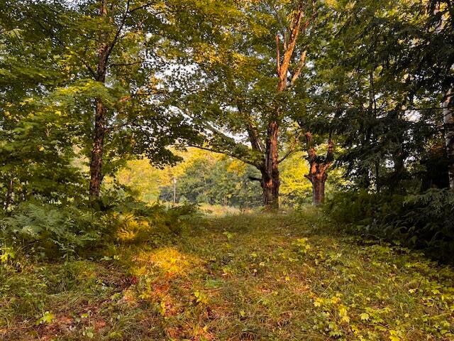 302 Pond Rd, Wilton, ME 04294 - photo 1