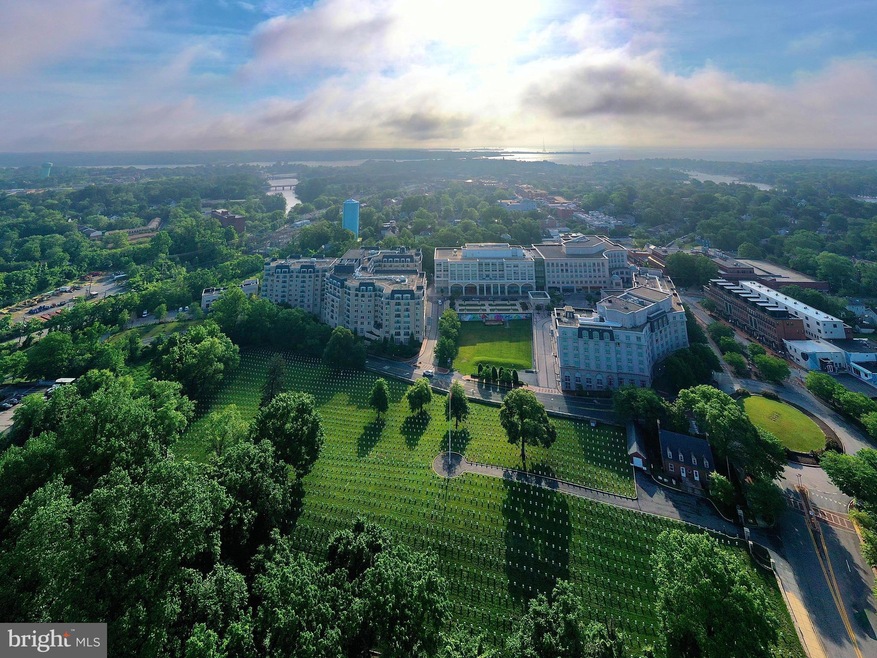 Residences at Park Place unit 706, Annapolis, MD 21401 - photo 1