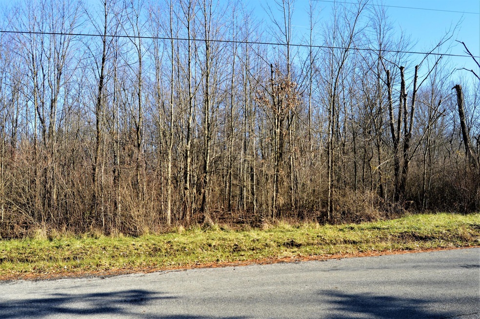 DSC_0001