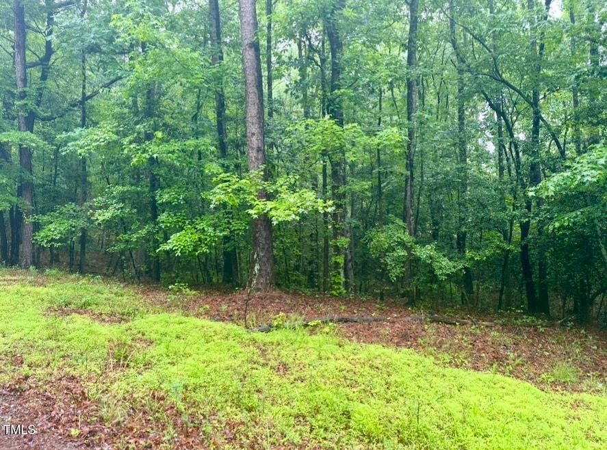 0 Chartres St unit 10135553, Buckhorn, NC 27526 - photo 1