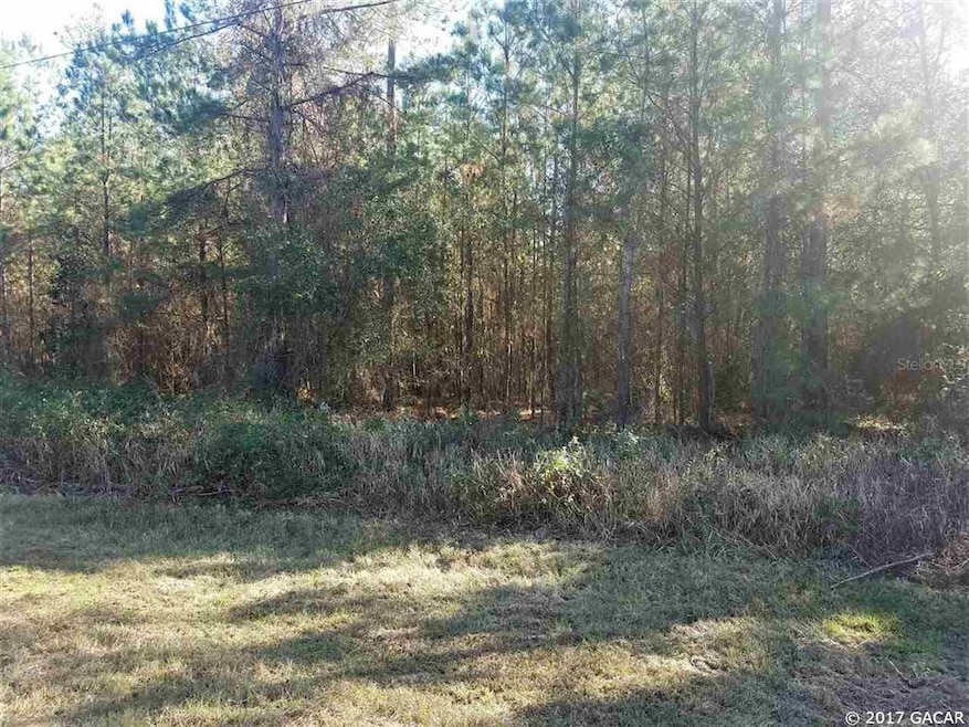 442 SW Cherrywood Way, Lake City, FL 32025 - photo 1