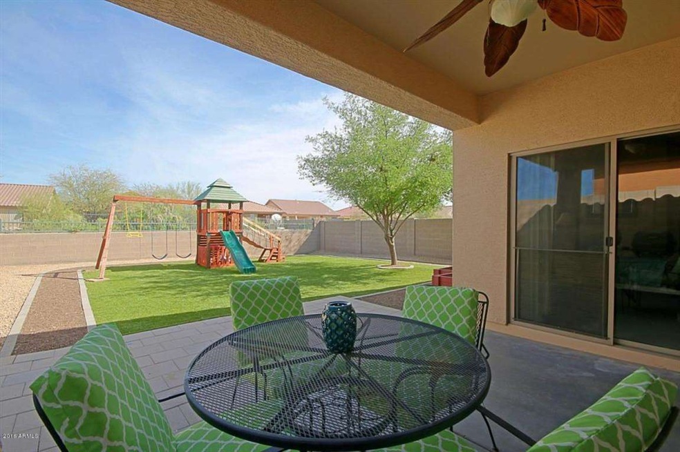 Backyard 1