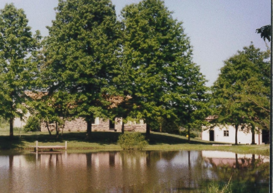 House and Garage from Z view