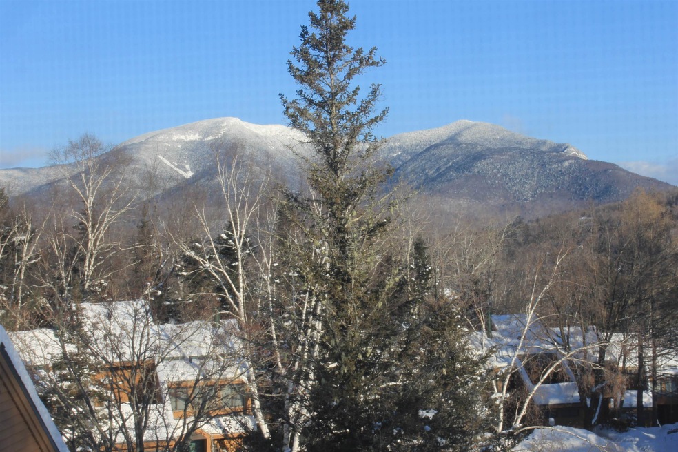 26 Hillside Way unit 4, Waterville Valley, NH 03215 - photo 1