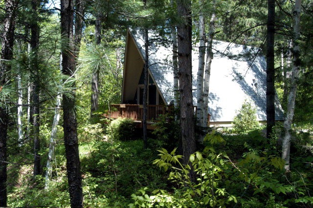 Main View
