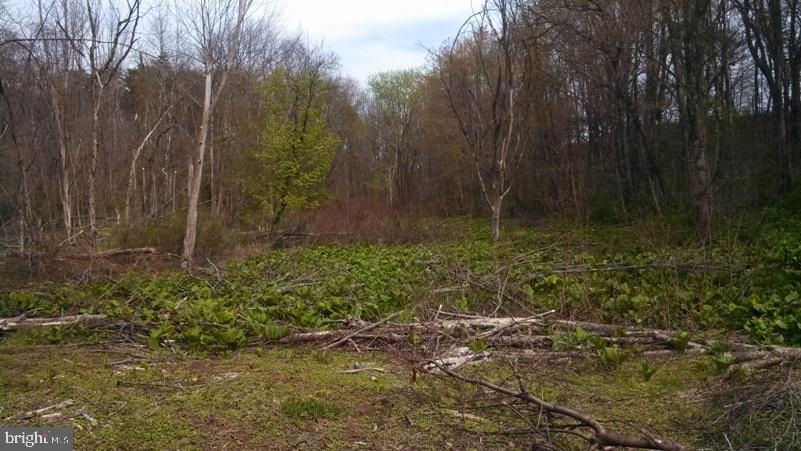 unlisted-address, Watsontown, PA 17777 - photo 1