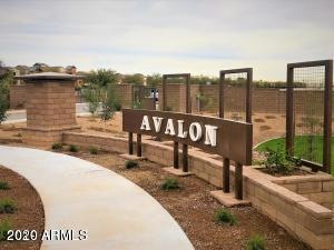 Avalon 1