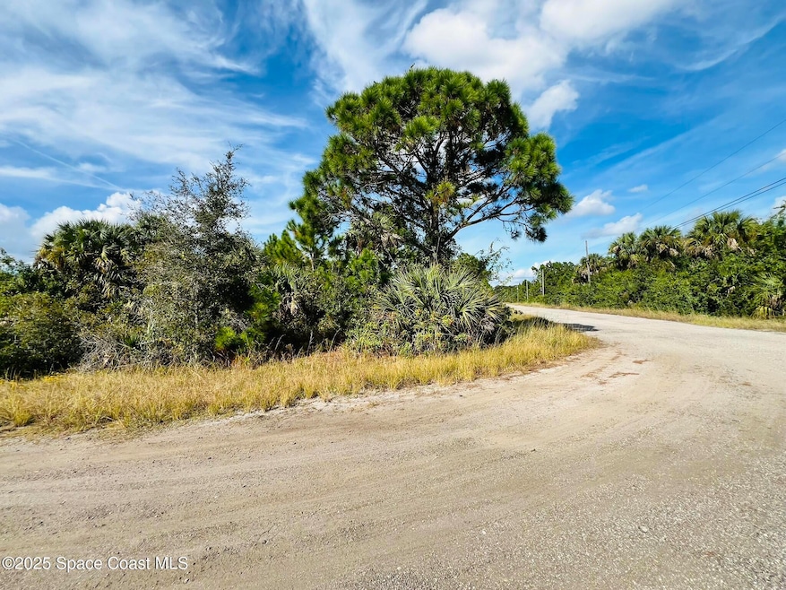 0000 Anjar Ave, Palm Bay, FL 32908 - photo 1