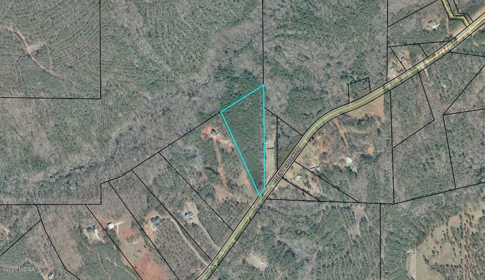 reedy creek rd