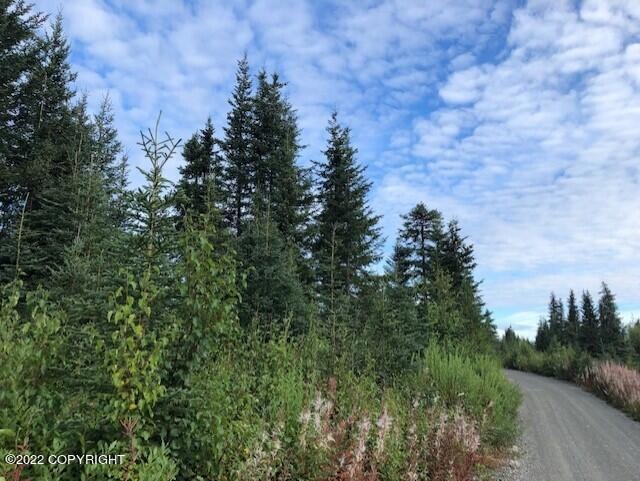 L1-4,L6-21 Gateway Rd, Anchor Point, AK 99556 - photo 1