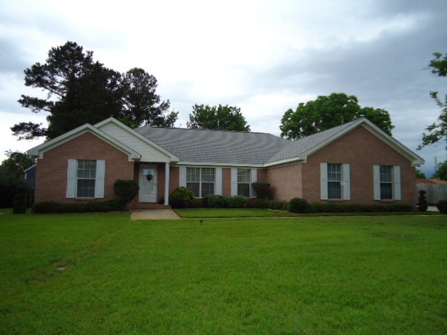 Main View