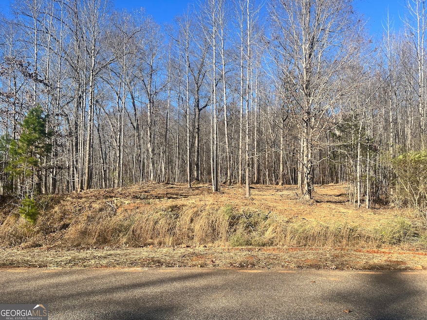 3853 Reservoir Dr unit TRACT 12, Gainesville, GA 30507 - photo 1