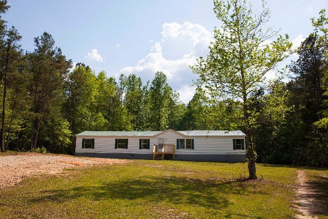 Main View