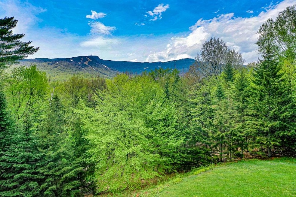 2054 Notchbrook Rd, Stowe, VT 05672 - photo 1