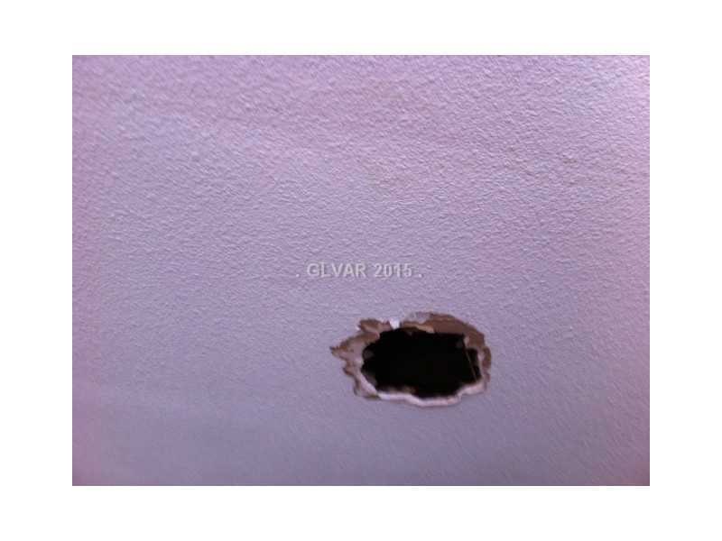 Other. Water damage on first floor ceiling
