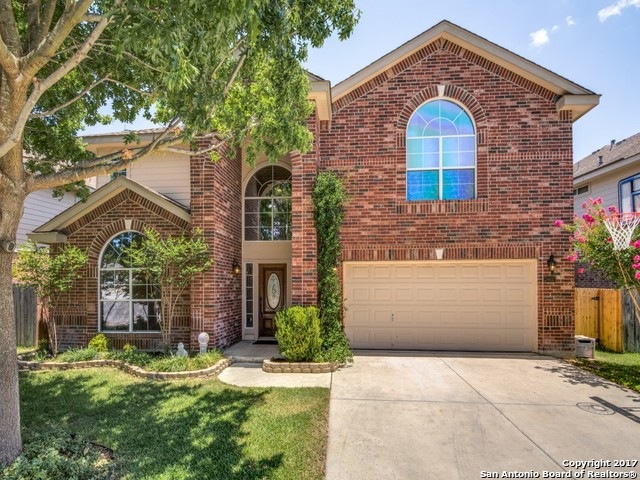 24610 Wine Rose Path, San Antonio, TX 78255 - photo 1